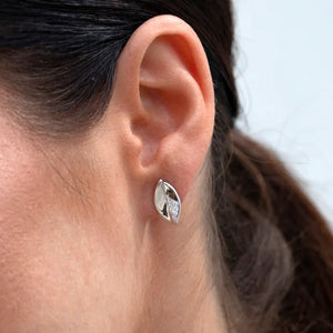 Conjunto plata pequeño circonitas lineargent 3