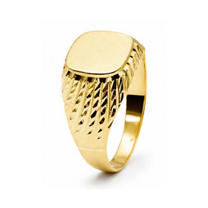 Sello oro 18k caballero cabeza pantalla: vista lateral del brazo y los hombros