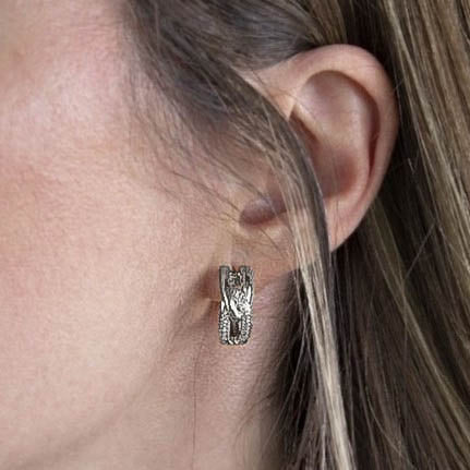 Aderezo plata circonitas pendientes anillo